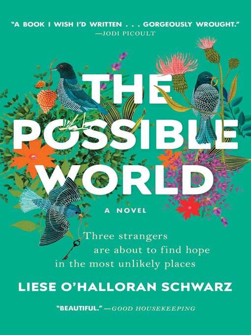 Title details for The Possible World by Liese O'Halloran Schwarz - Wait list